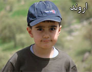 https://mohammaddarvish.com/arvand