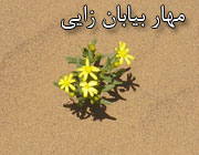 https://mohammaddarvish.com/desert